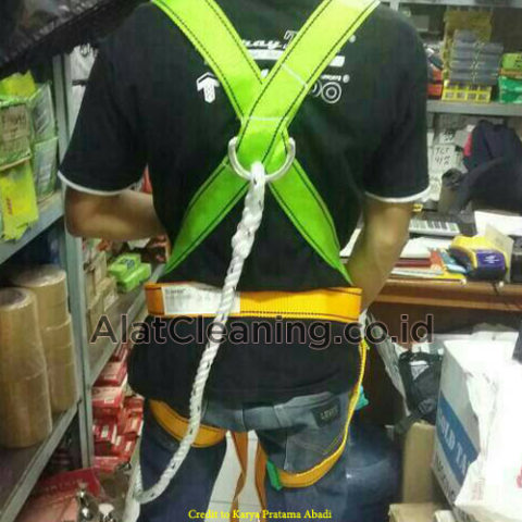 Body Harness tampak belakang