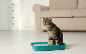 catatan